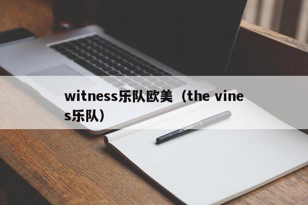 witness乐队欧美（the vines乐队）